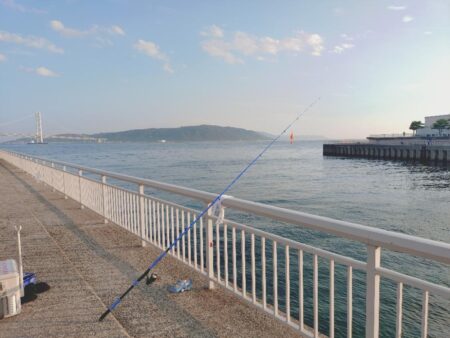ウキサビキで豆アジ狙い🎣
