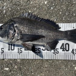 イチノ兄弟、釣果！