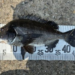 イチノ兄弟、釣果！