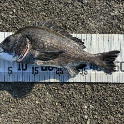 イチノ兄弟、釣果！