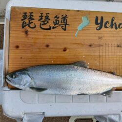 琵琶湖で琵琶マストローリング
