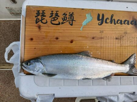 琵琶湖で琵琶マストローリング