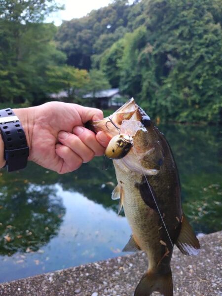 クランキン