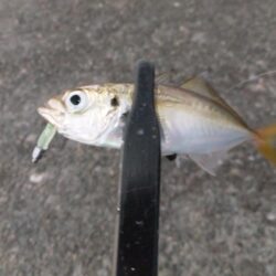 リベンジ成功