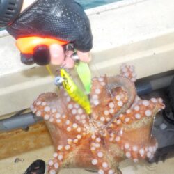 タコ最終戦〜盛和丸〜