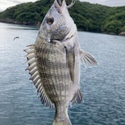 紀州釣り
