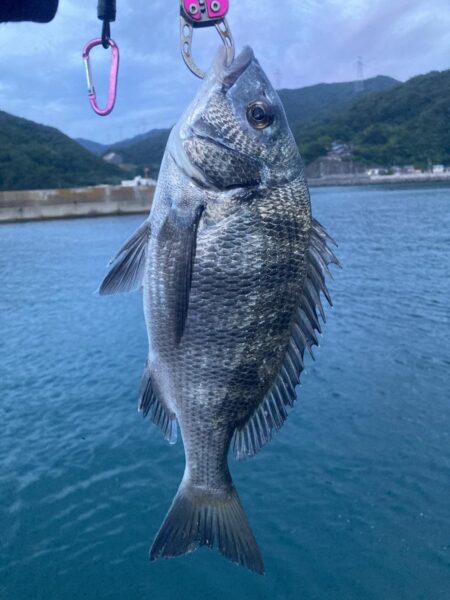 ファミリーフィッシング