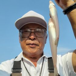 播磨新島のキス釣査５