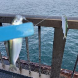 雨が降る前にカラバリとサビキ