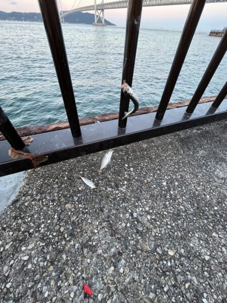 雨が降る前に