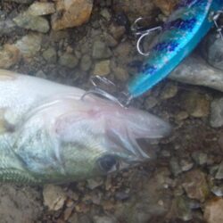 一庫ダム釣行　7月2日