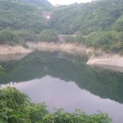 一庫ダム釣行　7月14日