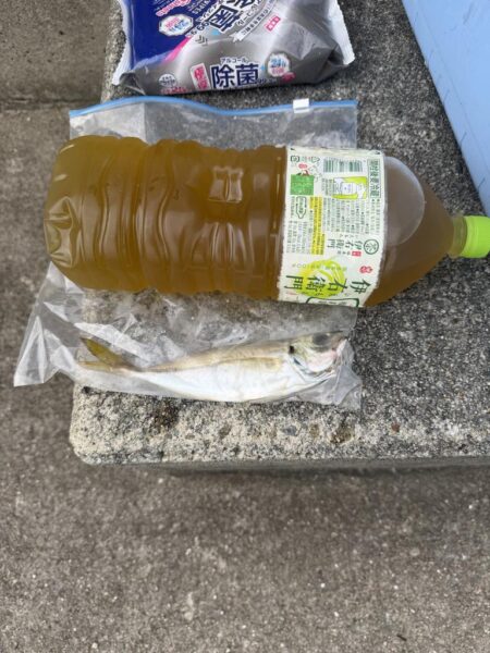 毒針
