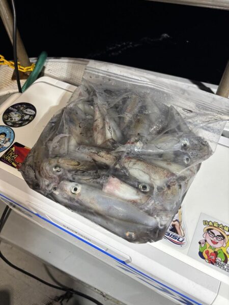 丹後沖イカメタル