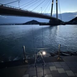 シロギス釣り