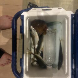 意外と…