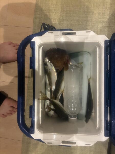 意外と…