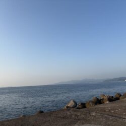 あじとたち