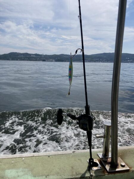 ベイトはカタクチですよ