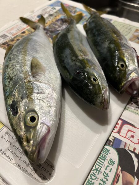 ツバスかぁー