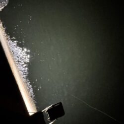 ヒイカ釣りなんだけど