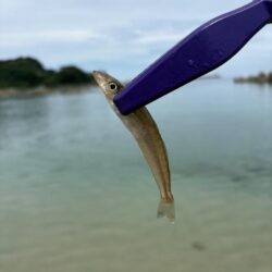 娘の釣りデビュー、ライトちょい投げ