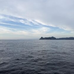 激渋のマイカ釣り