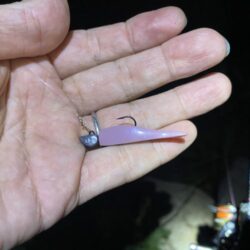 淀川ブリームゲーム