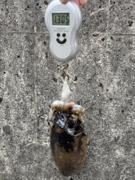 人生初釣果‼️ 体験?