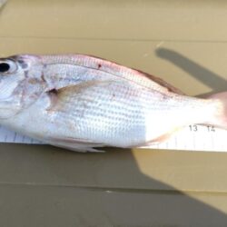 昼間はちょっと無理
