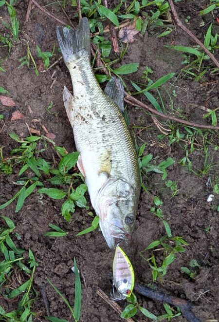 雷の合間に釣り