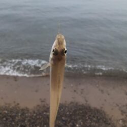 ちょい投げキス