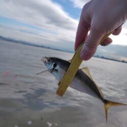 2ヶ月ぶりの釣り