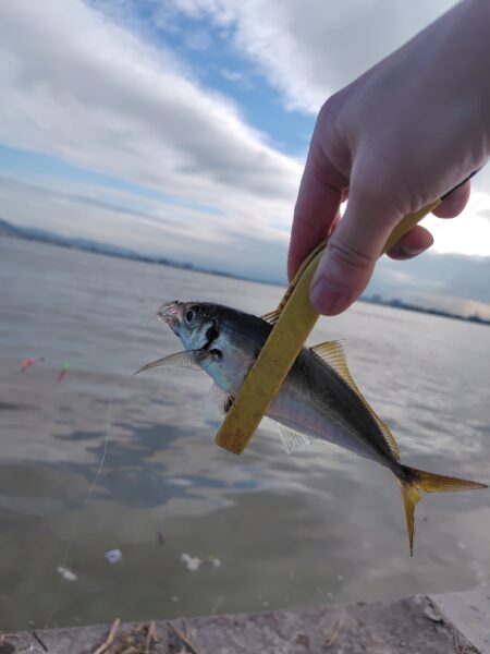 2ヶ月ぶりの釣り
