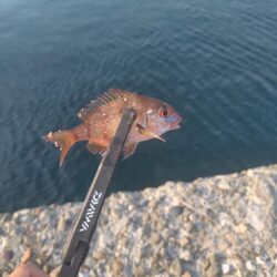 時合は一瞬