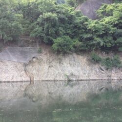 短時間の朝活釣行