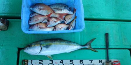 泉州丸　釣果