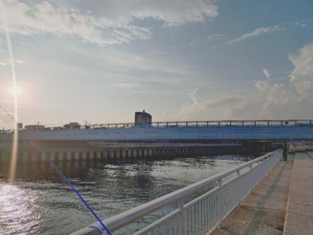 ウキサビキで豆アジ狙い🎣