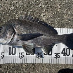 イチノ兄弟、釣果！