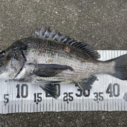 イチノ兄弟、釣果！