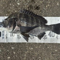 イチノ兄弟、釣果！