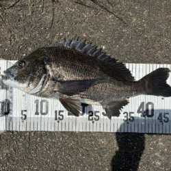 イチノ兄弟、釣果！