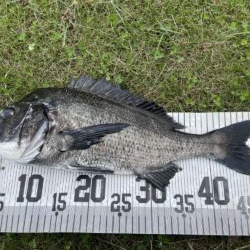 イチノ兄弟、釣果!