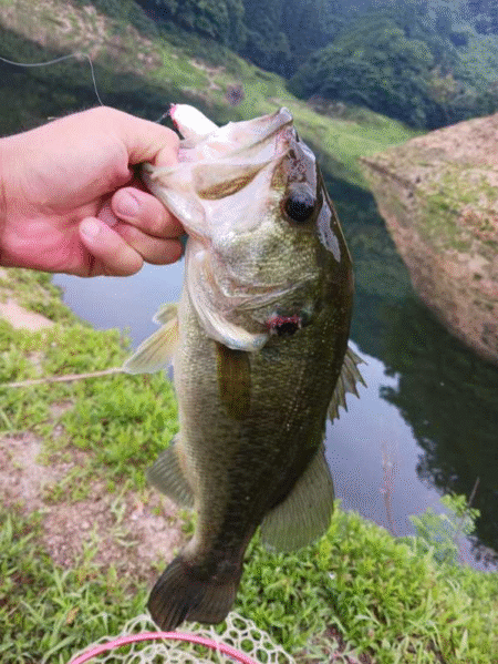 足元で連発!