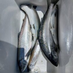 琵琶湖で琵琶マストローリング