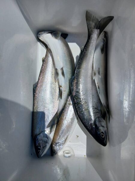 琵琶湖で琵琶マストローリング
