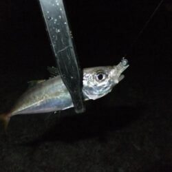 リベンジ成功