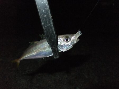 リベンジ成功