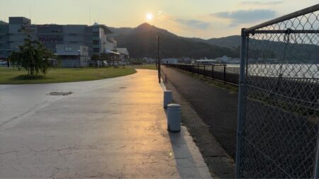 暑い中の夕まづめ
