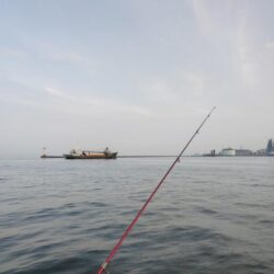 播磨新島のキス釣査５